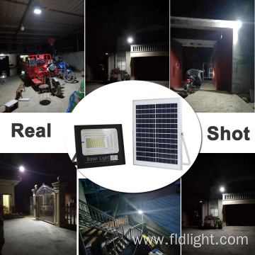 IP65 Waterproof aluminum wintersweet led flood light